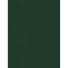 Jam Paper, Carton, 8 1/2 po l x 11 po H, Vert lin, 50 Paquet-Poids du papier : 100 lb. papier cartonné / couleur : Lin vert - une couleur verte foncée avec une texture de lin tissé et une finition haut de gamme