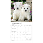 Plato - 2026 Copains Chiots Calendrier mural Suspendu Mensuel - 30,5 cm l x 61 cm H - Anglais-À Utiliser Tout de Suite - Calendrier de 16 mois, 12 pages de mois pleines et comprenant en prime les quatre derniers mois de l'année précédente avec une image supplémentaire
