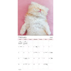 DateWorks - Calendrier Mural 16 Mois Chatons Câlins 2025 - 12 po x 12 po - Anglais-13 images de haute qualité imprimées sur du papier Premium.