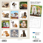 Plato - 2026 Chatons & Chiots Calendrier mural Suspendu Mensuel - 30,5 cm l x 61 cm H - Anglais-Conception Durable - Le papier robuste et de haute qualité empêche le froissage et le débordement de l'encre, et la reliure durable assure la longévité tout au long de l'année