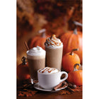 Torani - Sirop tarte à la citrouille sans sucre -750 mL - paquet de 4-Les sirops sans sucre sont fabriqués avec du sucralose et des arômes naturels