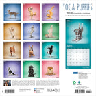 Plato - 2026 Yoga Chiots Officiel Calendrier mural Suspendu Mensuel - 30,5 cm l x 61 cm H - Anglais-Conception Durable - Le papier robuste et de haute qualité empêche le froissage et le débordement de l'encre, et la reliure durable assure la longévité tout au long de l'année