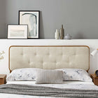 Modway - Collins Touffe Tissu et bois Tête de lit complète, Noyer beige-Options de cadre de lit interchangeables