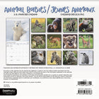 DateWorks - Mini Calendrier Mural 16 Mois de 2025 Animaux Bébés - 7 po x 7 po - Bilingue-Comprend des pages mensuelles de janvier à décembre 2025, ainsi que les 4 derniers mois de 2024.