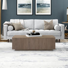 Hudson&Canal - Table basse rectangulaire Reyes 48" L - Chêne gris vieilli-Caractéristiques assemblage facile