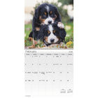 DateWorks - 2026 Mini Calendrier Mural 16 Mois - 7 po x 7 po - Chiots - Anglais -Animaux