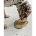 Dexypaws - Tapis à lécher enrichissant à l'avocat -6