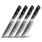 Minimal - Ensemble de couteaux à steak Damascus Black G10 de 4 pièces, service pour 4 personnes-Acier Damas forgé 67 couches avec noyau en acier VG10