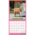BrownTrout - 2026 Avanti Funny Farm Officiel Calendrier mural Suspendu Mensuel - 30,5 cm l x 61 cm H - Anglais-Grandes Pages de Jour Spacieuses - Tous les jours fériés les plus importants et les phases de la lune sont indiqués, avec beaucoup d'espace pour inscrire des notes et des rendez-vous