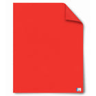 Royal Brites Carton pour Affiche Poids Lourd - 22 po x 28 po - Rouge-Couleurs vibrantes