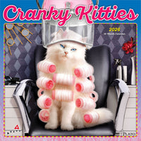 Plato - 2026 Avanti Cranky Kitties Officiel Calendrier mural Suspendu Mensuel - 30,5 cm l x 61 cm H - Anglais-Photographie - Chaque mois, découvrez de superbes photographies ou œuvres d'art en couleur