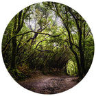 TickiT - Tapis de jeu Découverte de la forêt-Stimulation Visuelle Fascinante - Ce tapis de jeu présente une image détaillée d'un chemin forestier. Offrez aux enfants un arrière-plan coloré et stimulant pour un jeu ouvert
