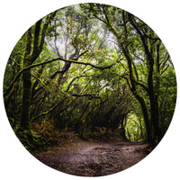 TickiT - Tapis de jeu Découverte de la forêt-Stimulation Visuelle Fascinante - Ce tapis de jeu présente une image détaillée d'un chemin forestier. Offrez aux enfants un arrière-plan coloré et stimulant pour un jeu ouvert