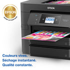 Epson - Cartouches d'encre 702 - Capacité standard - Noir/Couleur CMJ-Modèles compatibles: WF-3720, WF-3730, WF-3733