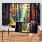 Staples - Tech Câble USB-C vers DisplayPort - 6 pi-4K @ 60 Hz ou 1440p à 144 Hz : résolution 4K impressionnante à 60 Hz ou 1440p à 144 Hz pour des images fluides
