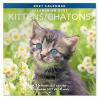 Mead - Calendrier décoratif Chatons 2027, 12 po x 12 po, bilingue-Met en évidence des images attendrissantes de chatons qui ajoutent de la personnalité au décor mural