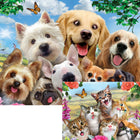 Howard Robinson - Selfie chiens et chats - 100 pièces-6