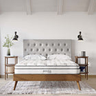 Modway - Jenna 8 po Ressorts et mousse Matelas Queen-Couche de mousse respirante de 0,5 po