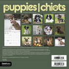 DateWorks - 2026 Mini Calendrier Mural 16 Mois - 7 po x 7 po - Chiots - Bilingue -13 images de haute qualité imprimées sur du papier Premium