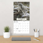 DateWorks - 2026 Calendrier Mural 16 Mois - 12 po x 12 po - Loups - Bilingue -Comprend des pages mensuelles de janvier à décembre 2026, ainsi que les 4 derniers mois de 2025