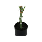 Monarch Specialties - Plante Artificielle - 54 po H - Arbre De Dieffenbachia - En Pot - Touche Réelle - Feuilles Vertes - Pot Noir-Aucun assemblage requis : dimensions du produit : 27 po L x 26 po l x 54 po H
