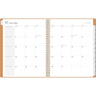 Cambridge - Agenda scolaire hebdomadaire/mensuel WorkStyle Focus 2025-2026 - 11 po H x 8 1/2 po l - argile - bilingue-Couverture en poly durable avec des accents dorés