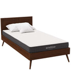 Modway - Aveline 6 po Matelas simple-Comprimé et scellé sous vide dans une boîte