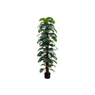 Monarch Specialties - Plante Artificielle - 83 po Heur - Arbre Monstera - Feuilles Vertes - Pot Noir-Rafraîchissez votre espace avec notre arbre Monstera artificiel de 83 pouces de hauteur, offrant un look et une texture réalistes