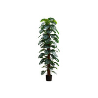 Monarch Specialties - Plante Artificielle - 83 po Heur - Arbre Monstera - Feuilles Vertes - Pot Noir-Rafraîchissez votre espace avec notre arbre Monstera artificiel de 83 pouces de hauteur, offrant un look et une texture réalistes