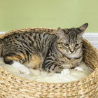 PawHut - Arbre à chat 28 po avec griffoir et lits doubles pour chats d’intérieur - beige-Couleur : Beige 