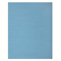 North American Paper - Carton bristol 4 épaisseurs, 22 po x 28 po, 48 feuilles, bleu clair-22 po x 28 po