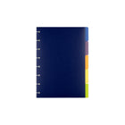 Cambridge - Intercalaires Disc, petit, 5 feuilles-Ensemble de 5 séparateurs en poly de couleurs assorties