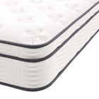 Modway - Jenna 10 po Ressorts et mousse Matelas simple XL-Garantie limitée d'un an du fabricant