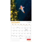 Wyman Publishing - 2026 Vie Marine Par Canadian Geographic Officiel Calendrier mural Suspendu Mensuel - 30,5 cm l x 61 cm H - Anglais-Grandes Pages de Jour Spacieuses - Tous les jours fériés les plus importants et les phases de la lune sont indiqués, avec beaucoup d'espace pour inscrire des notes et des rendez-vous