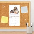 DateWorks - Mini Calendrier Mural 16 Mois 2025 Amis - 7 po x 7 po - Anglais-Parfait à accrocher sur un mur, un tableau en liège ou un tableau d'affichage à la maison, à l'école ou au bureau