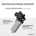 MotionGrey - Bureau debout électrique réglable Ergo2 avec réglages de mémoire - 55 po x 24 po, plateau brun clair, cadre blanc-Moteur Unique - Le moteur électrique est conçu pour offrir des performances fiables, avec une grande capacité de charge, une vitesse de déplacement efficace et un processus d’inspection en 6 étapes afin de garantir un fonctionnement constant