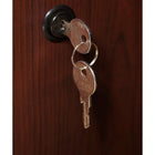 Bush Business Furniture - Classeur latéral à 2 tiroirs Arlington, cerisier naturel (WC65554-03)-Deux tiroirs classeurs accueillent les documents de format lettre, légal ou A4