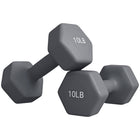 Soozier - Ensemble de 2 haltères hexagonaux-Deux haltères, chacun de 10 lb 