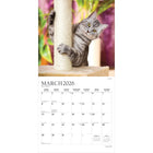 Plato - 2026 J'aime Les Chats Calendrier mural Suspendu Mensuel - 30,5 cm l x 61 cm H - Anglais-À Utiliser Tout de Suite - Calendrier de 16 mois, 12 pages de mois pleines et comprenant en prime les quatre derniers mois de l'année précédente avec une image supplémentaire