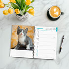BrownTrout - Agenda 16 mois Chatons 2026-Grandes Pages de Jour Spacieuses - Le format par semaine est réparti sur deux pages, avec tous les jours fériés importants et les phases de la lune, ainsi que de nombreux espaces pour noter les contacts, les notes et les événements spéciaux.