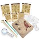 4M - KidzLabs Kit d’excavation d’insectes - Age 5+-4