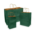 Eddie's - Sac à provisions en papier kraft 100 % recyclé - 16" x 6" x 12" - Vert forêt - Paquet de 100-100% recyclé avec au moins 95% de fibres post-consommation.