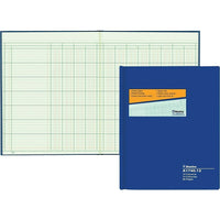 Blueline Livret à colonnes A1740, A1740-12, 12 colonnes-A1740-12 - 12 colonnes