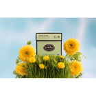 Steven Smith Teamaker - Thé vert spring greens - 6 x 15 sachet-Sachets emballés individuellement pour préserver la fraîcheur