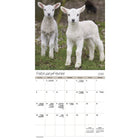 DateWorks - 2026 Calendrier Mural 16 Mois - 12 po x 12 po - Bébés Animaux - Bilingue -Animaux