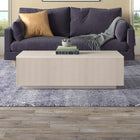 Hudson&Canal - Table basse rectangulaire Reyes 48" L - Blanc aulne-Nettoyer avec un chiffon doux et sec, sans produits chimiques agressifs ni produits de nettoyage abrasifs