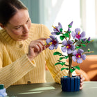LEGO - Botanicals Hibiscus-Poser les pétales - Les constructeurs peuvent personnaliser l’hibiscus en déplaçant les pétales pour ouvrir les fleurs et en positionnant les feuilles