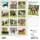 Plato - 2026 Magnifiques Chevaux Calendrier mural Suspendu Mensuel - 30,5 cm l x 61 cm H - Anglais-Conception Durable - Le papier robuste et de haute qualité empêche le froissage et le débordement de l'encre, et la reliure durable assure la longévité tout au long de l'année