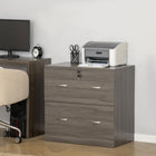 Vinsetto - Armoire de classement latérale à 2 tiroirs avec serrure - gris-Peut être utilisé comme table pour imprimante ou télécopieur 