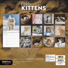 DateWorks - Calendrier Mural 16 Mois Chatons Câlins 2025 - 12 po x 12 po - Anglais-Comprend des pages mensuelles de janvier à décembre 2025, ainsi que les 4 derniers mois de 2024.